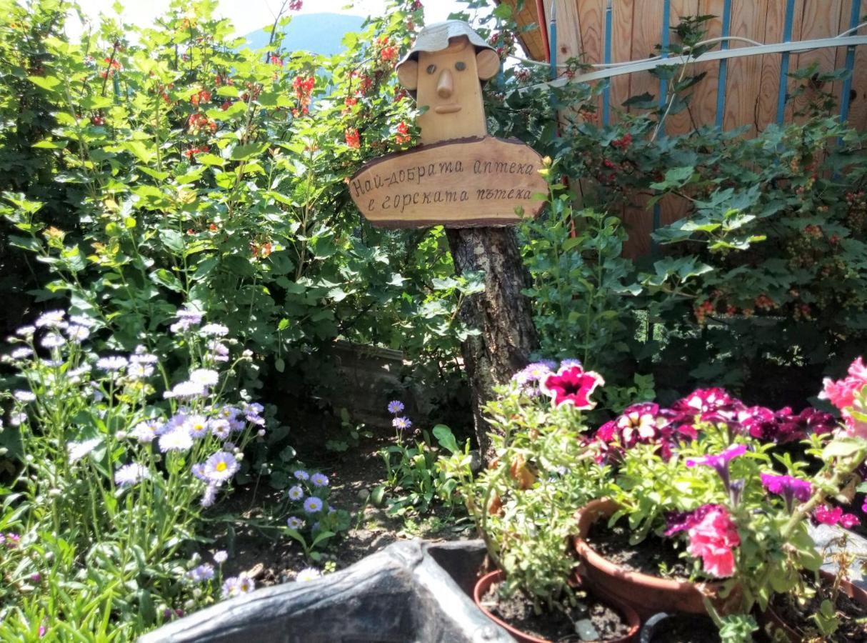 Guest House Milka Yagodina Esterno foto